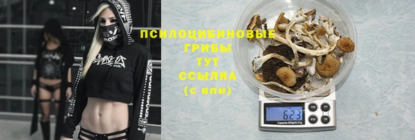 хмурый Алексин