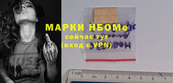 хмурый Алексин