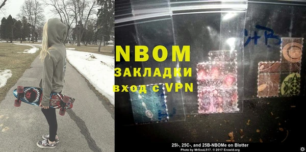 хмурый Алексин