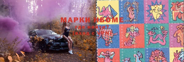 хмурый Алексин