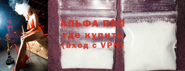 хмурый Алексин