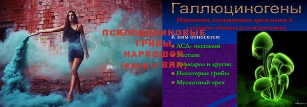 молекула духа Алексеевка