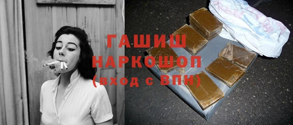 хмурый Алексин