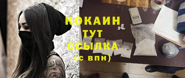 молекула духа Алексеевка