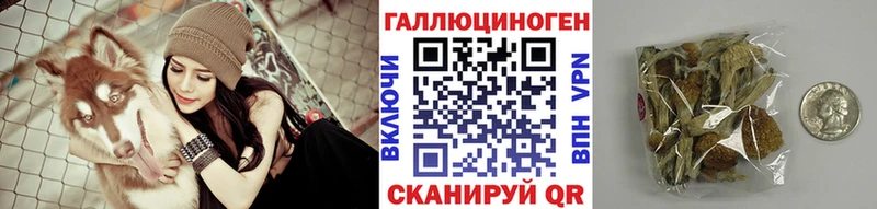 Галлюциногенные грибы Psilocybe Чистополь